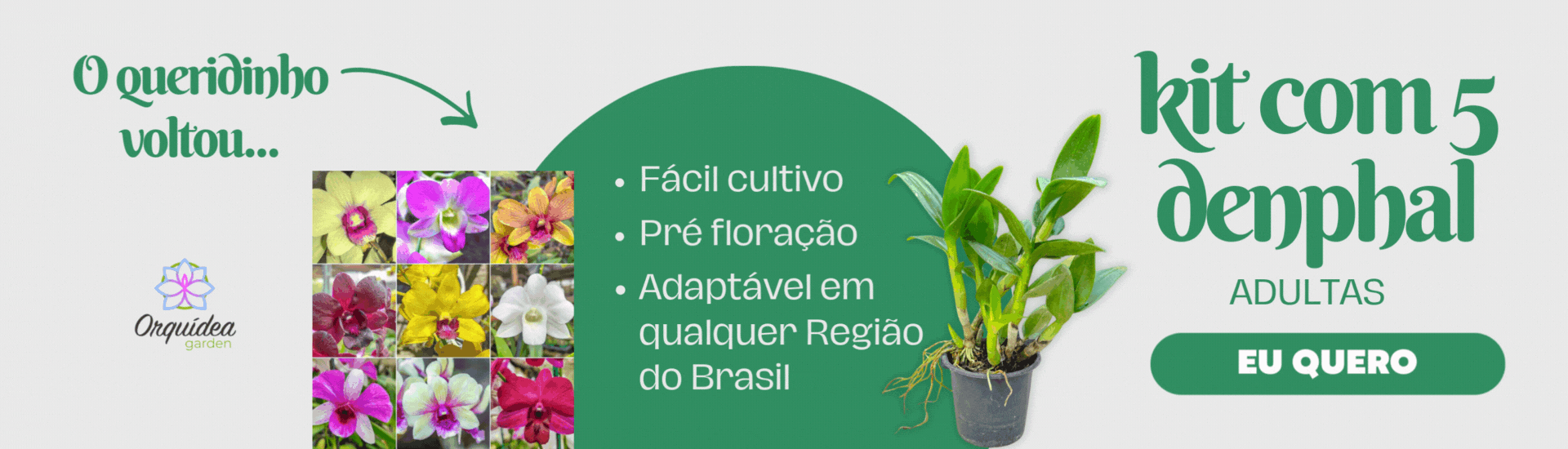 Promoção Principal