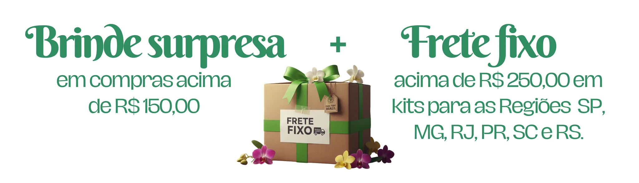Frete Fixo e Brinde